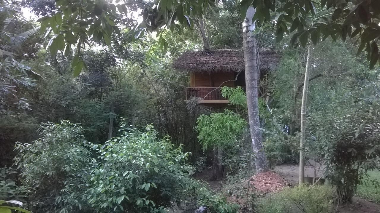 Tree House-Midigama Weligama Exterior foto