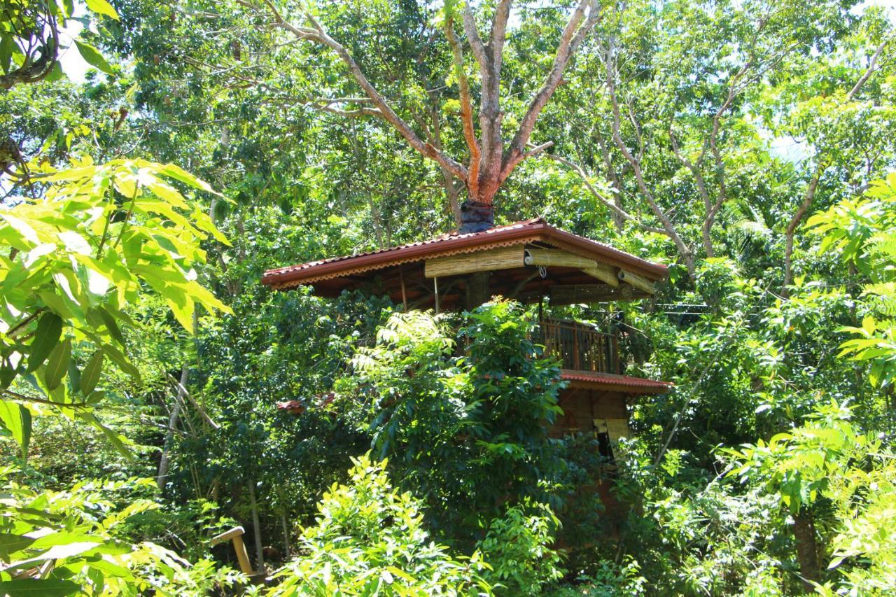 Tree House-Midigama Weligama Exterior foto
