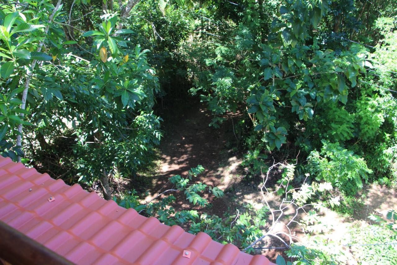Tree House-Midigama Weligama Exterior foto