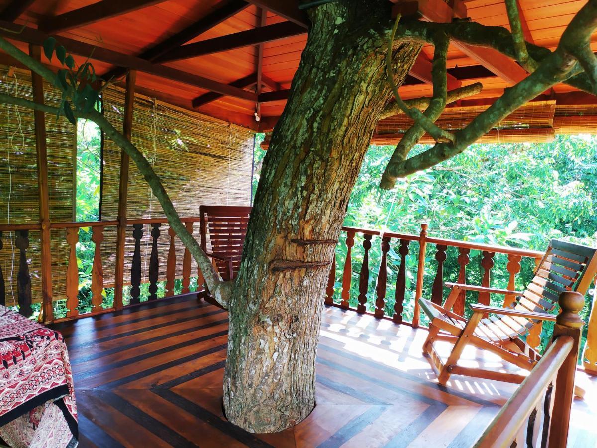 Tree House-Midigama Weligama Exterior foto